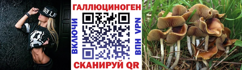 Галлюциногенные грибы Psilocybine cubensis  блэк спрут вход  Усть-Илимск  где купить наркотик 